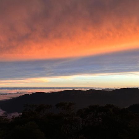 Valley Of The Waters B&B Wentworth Falls Exteriör bild
