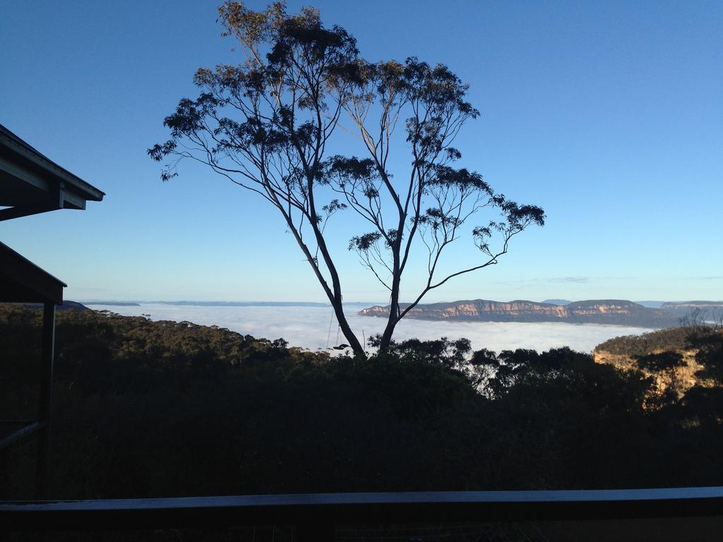 Valley Of The Waters B&B Wentworth Falls Exteriör bild
