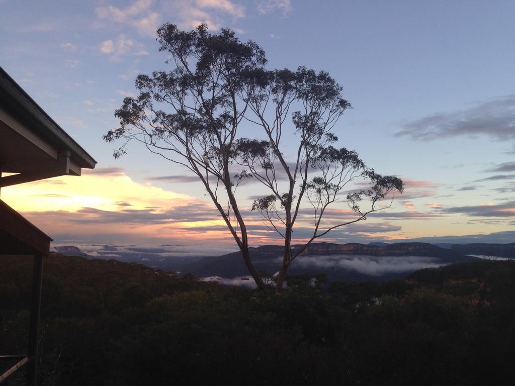 Valley Of The Waters B&B Wentworth Falls Exteriör bild