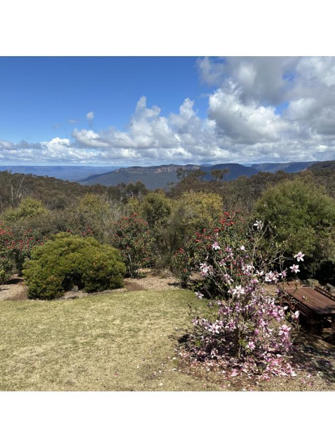 Valley Of The Waters B&B Wentworth Falls Exteriör bild
