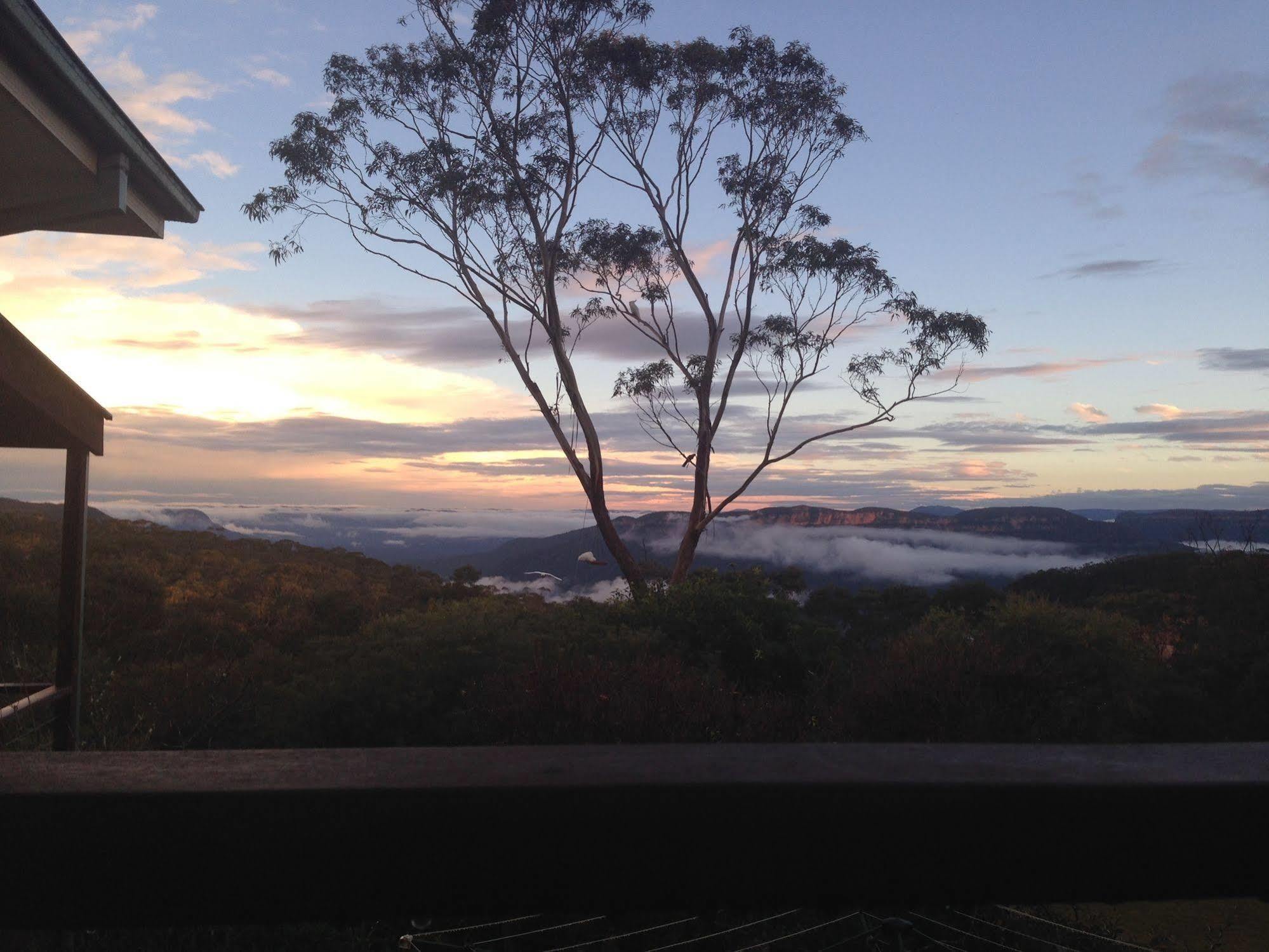 Valley Of The Waters B&B Wentworth Falls Exteriör bild