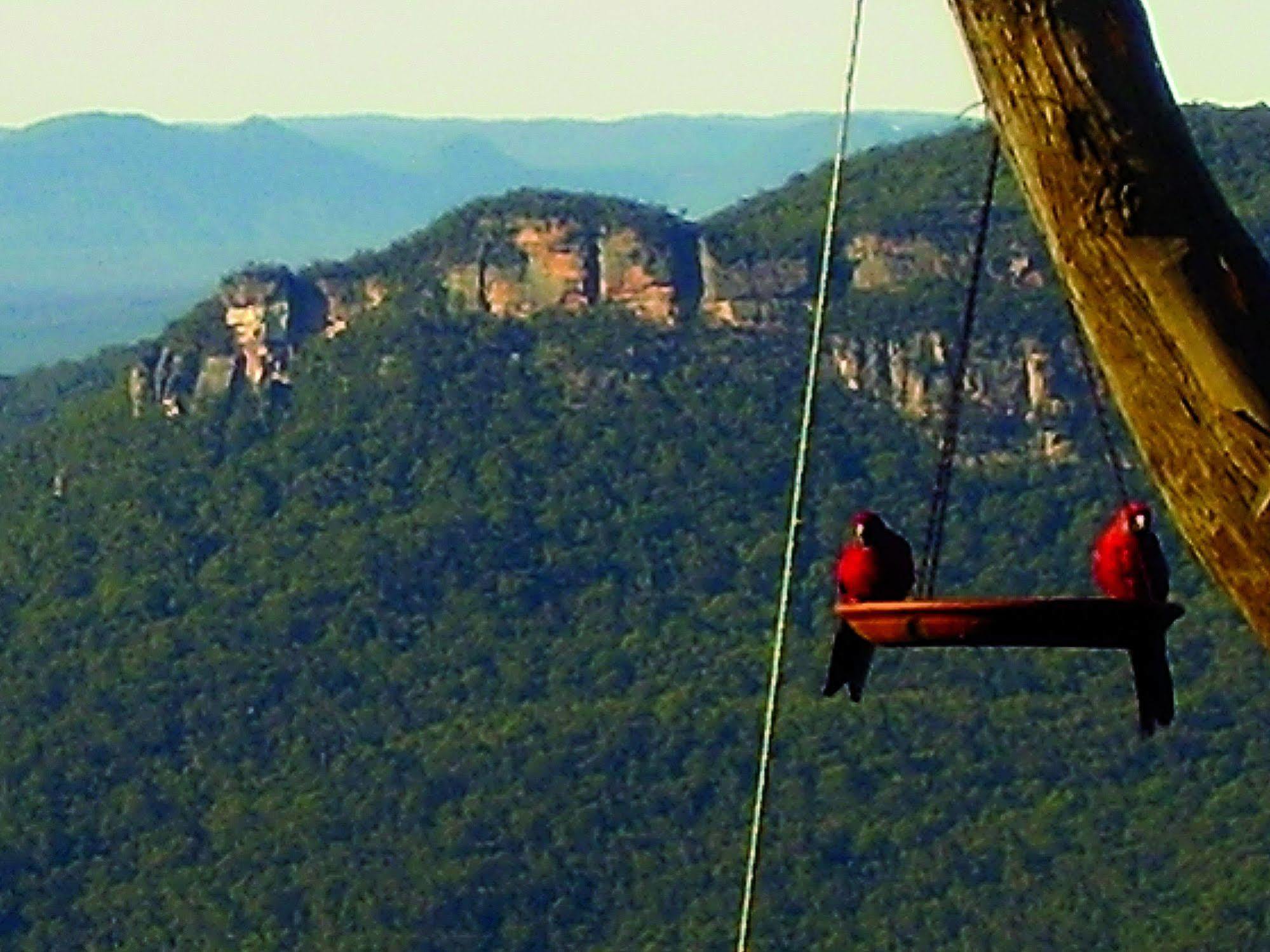 Valley Of The Waters B&B Wentworth Falls Exteriör bild