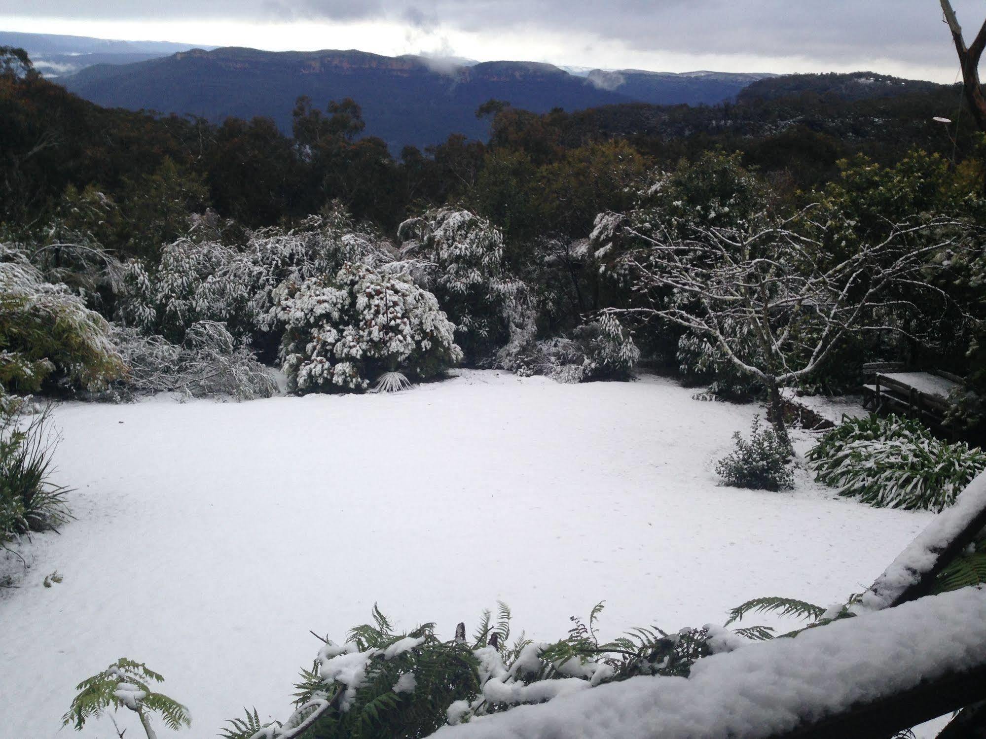 Valley Of The Waters B&B Wentworth Falls Exteriör bild