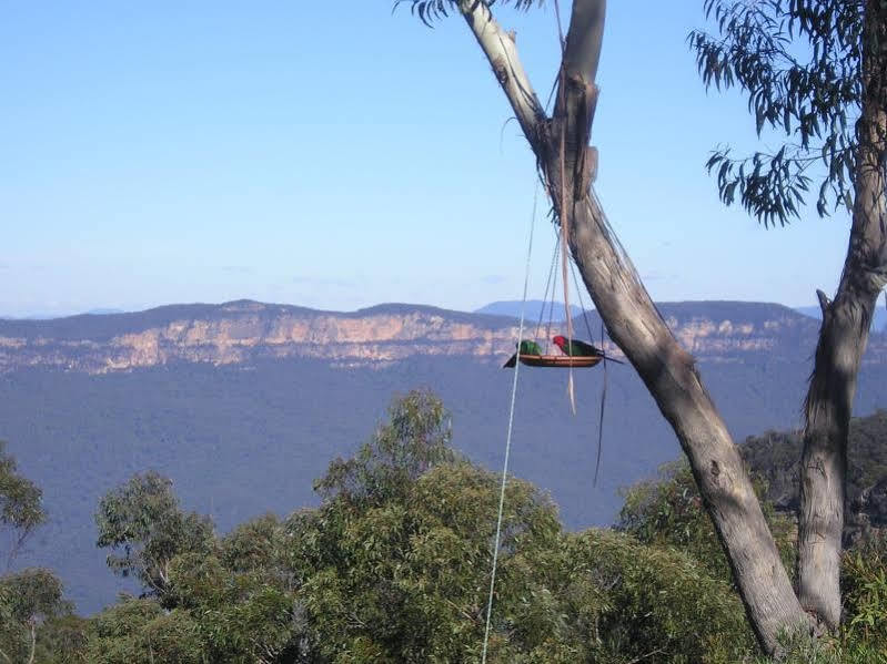 Valley Of The Waters B&B Wentworth Falls Exteriör bild