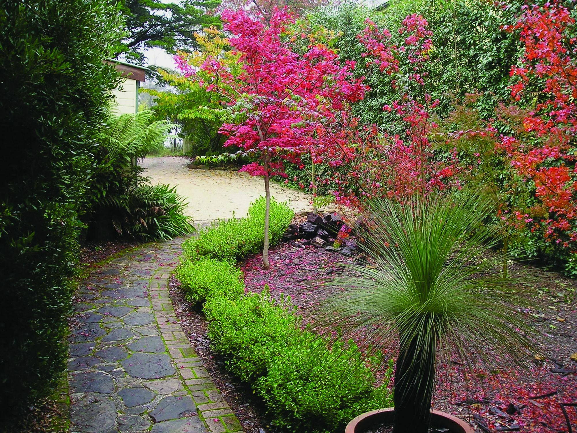 Valley Of The Waters B&B Wentworth Falls Exteriör bild